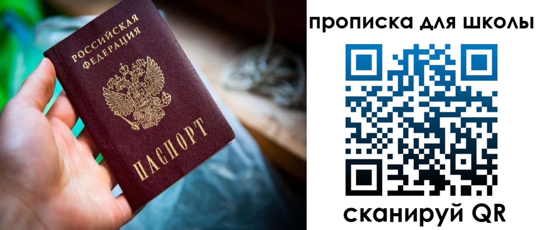 купить прописку в Калининграде